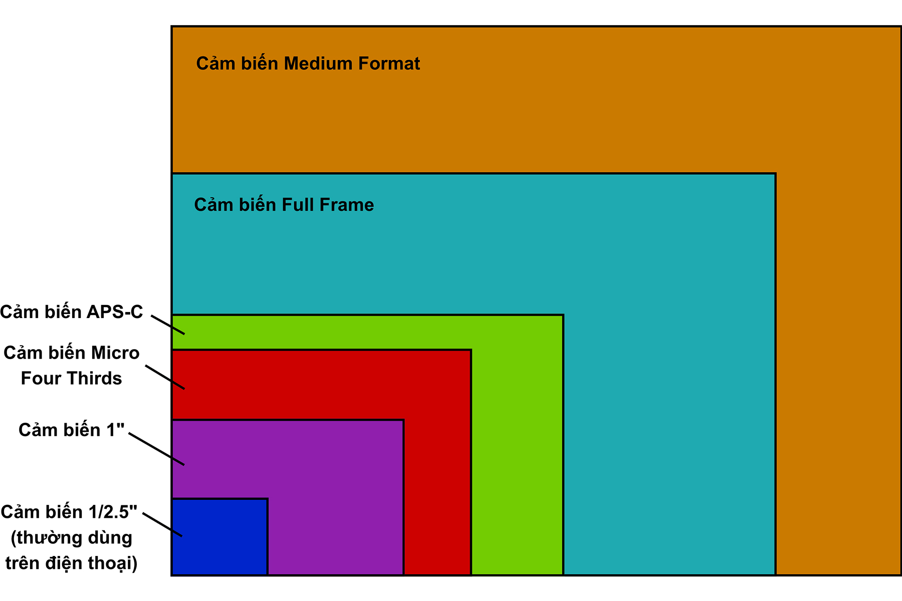 So sánh kích thước cảm biến máy ảnh từ 1/2.5 inch, 1 inch, Micro Four Thirds, APS-C, Full Frame đến Medium Format