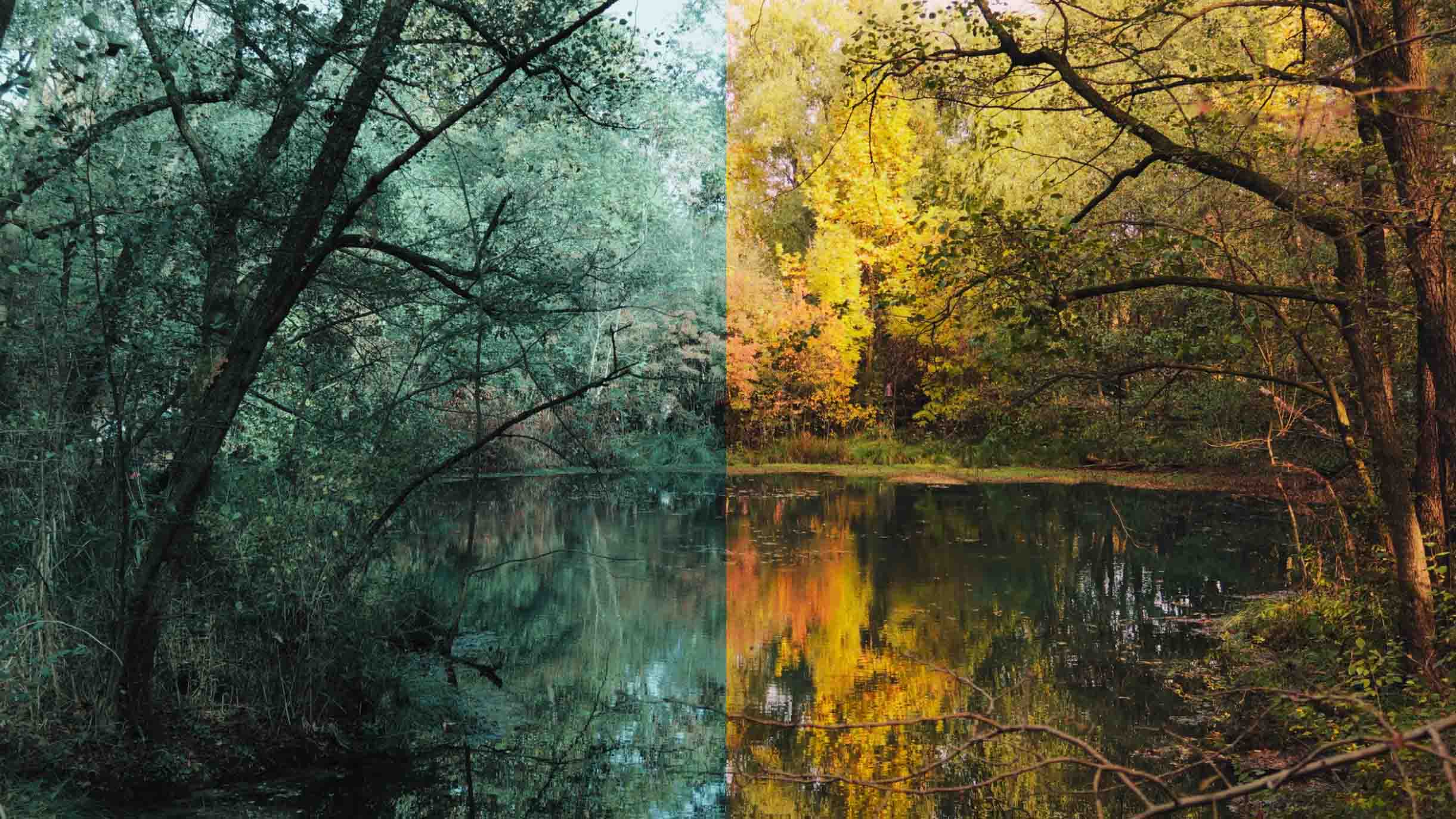 So sánh hai cách chỉnh màu khác nhau cho cùng một bức ảnh